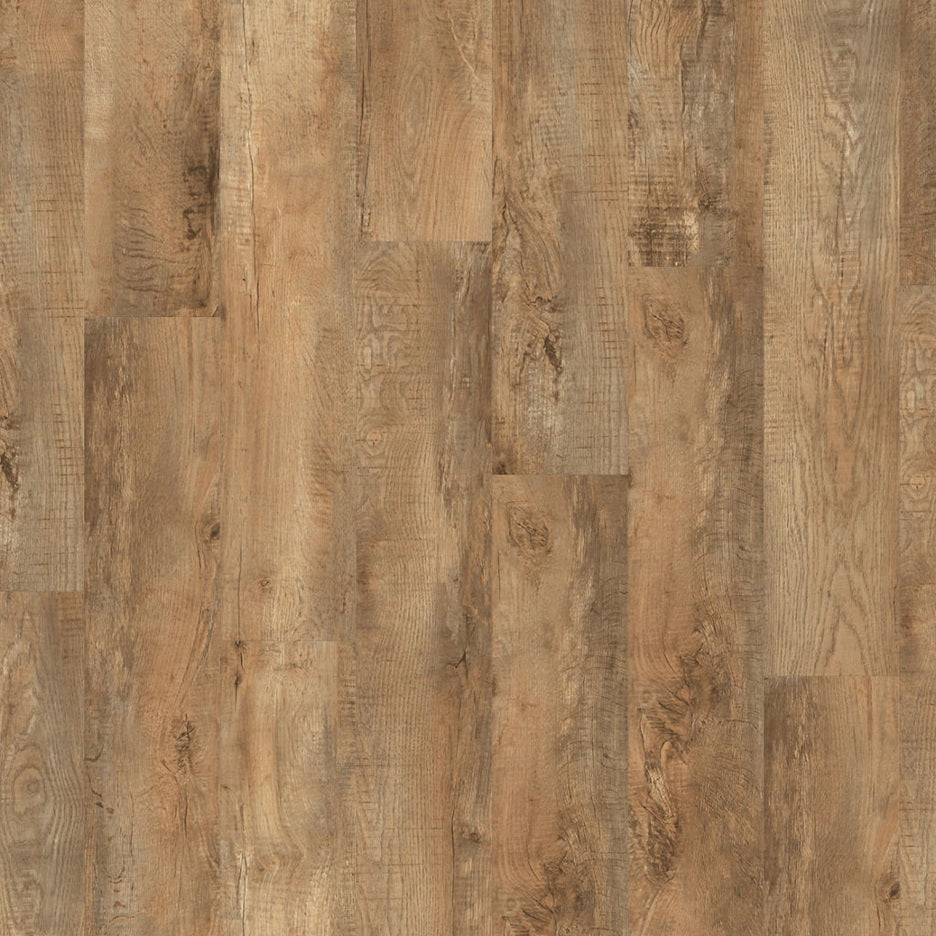 Moduleo Roots Country Oak 54852