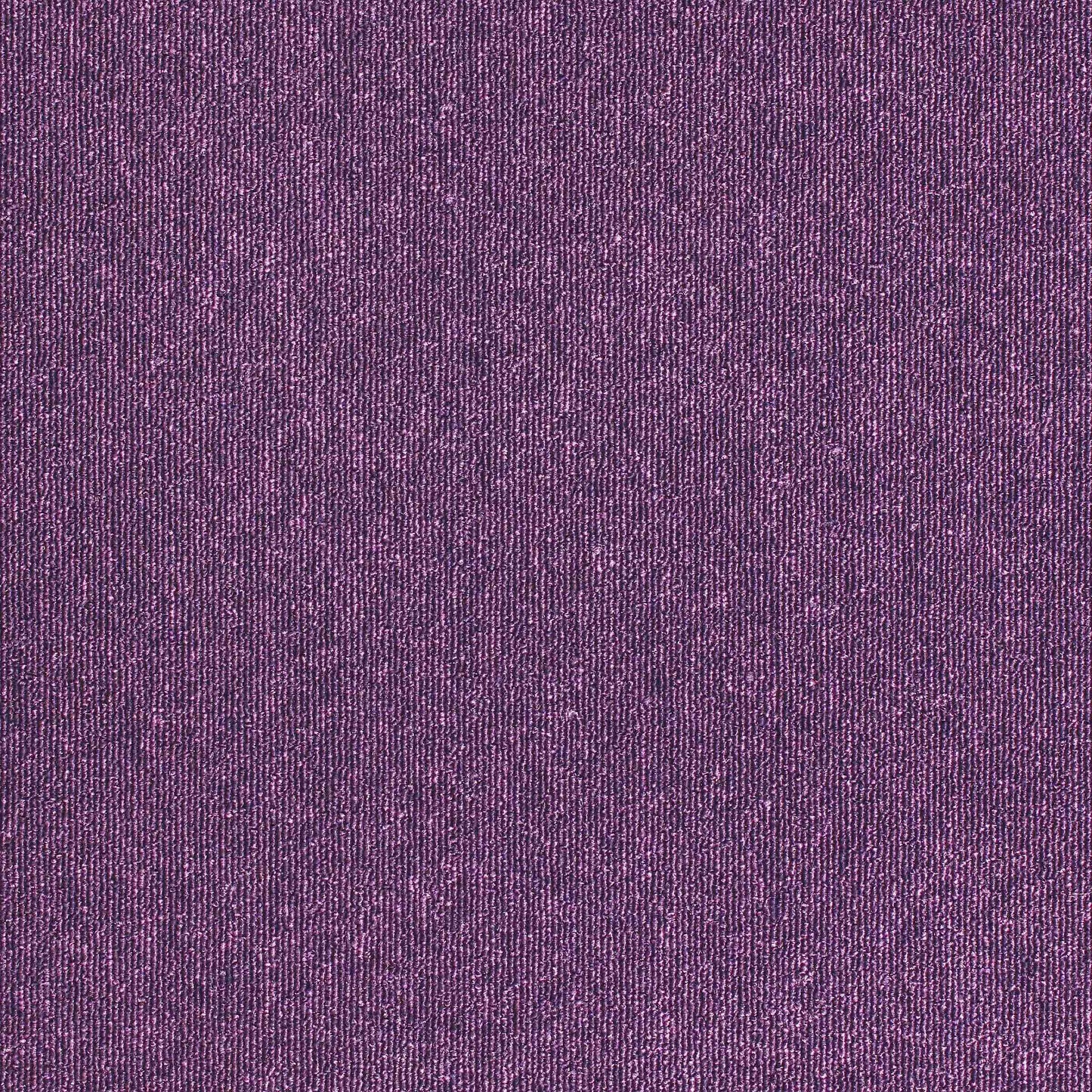 Paragon Sirocco Tanzanite 743S Carpet Tile