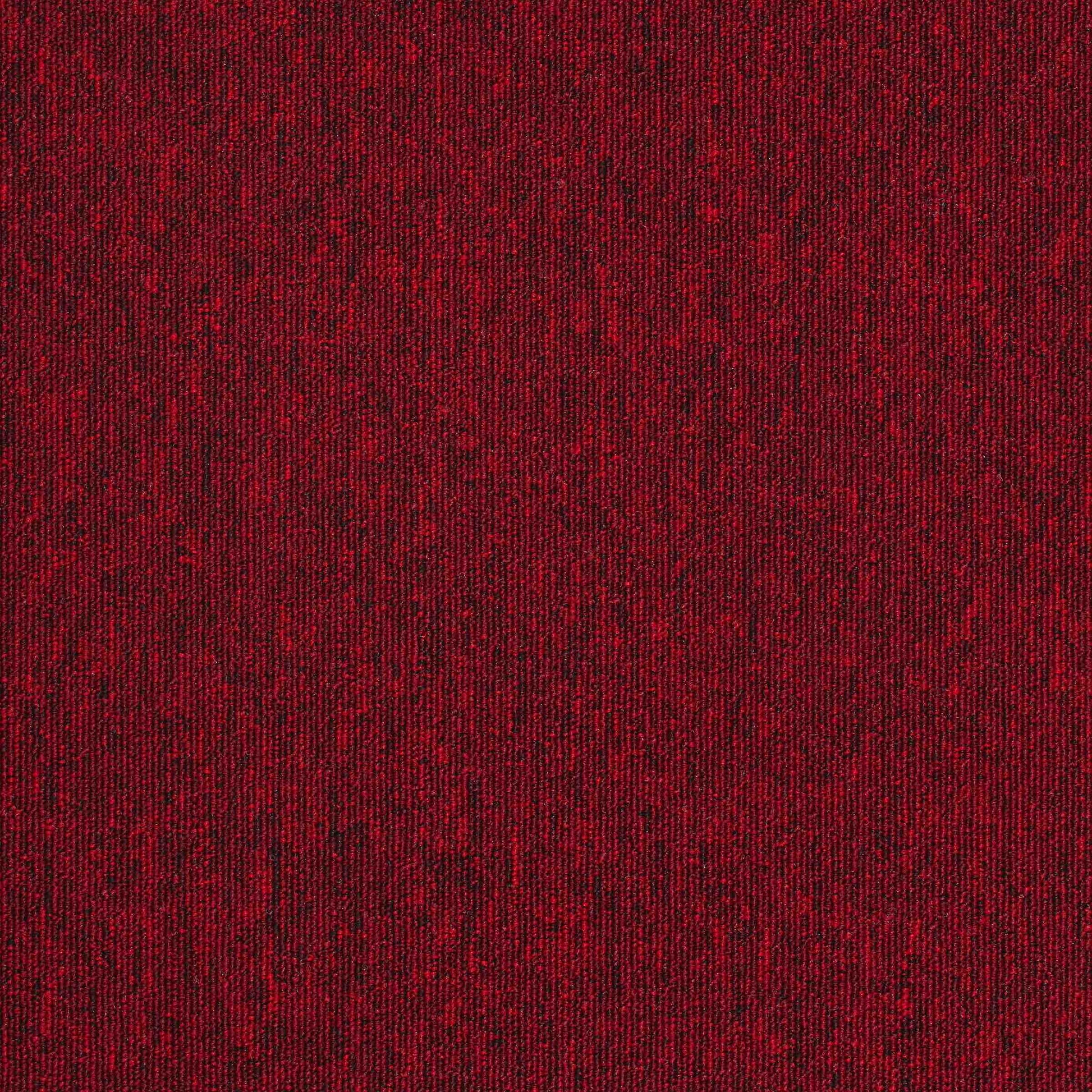 Paragon Sirocco Tempest 277S Carpet Tile