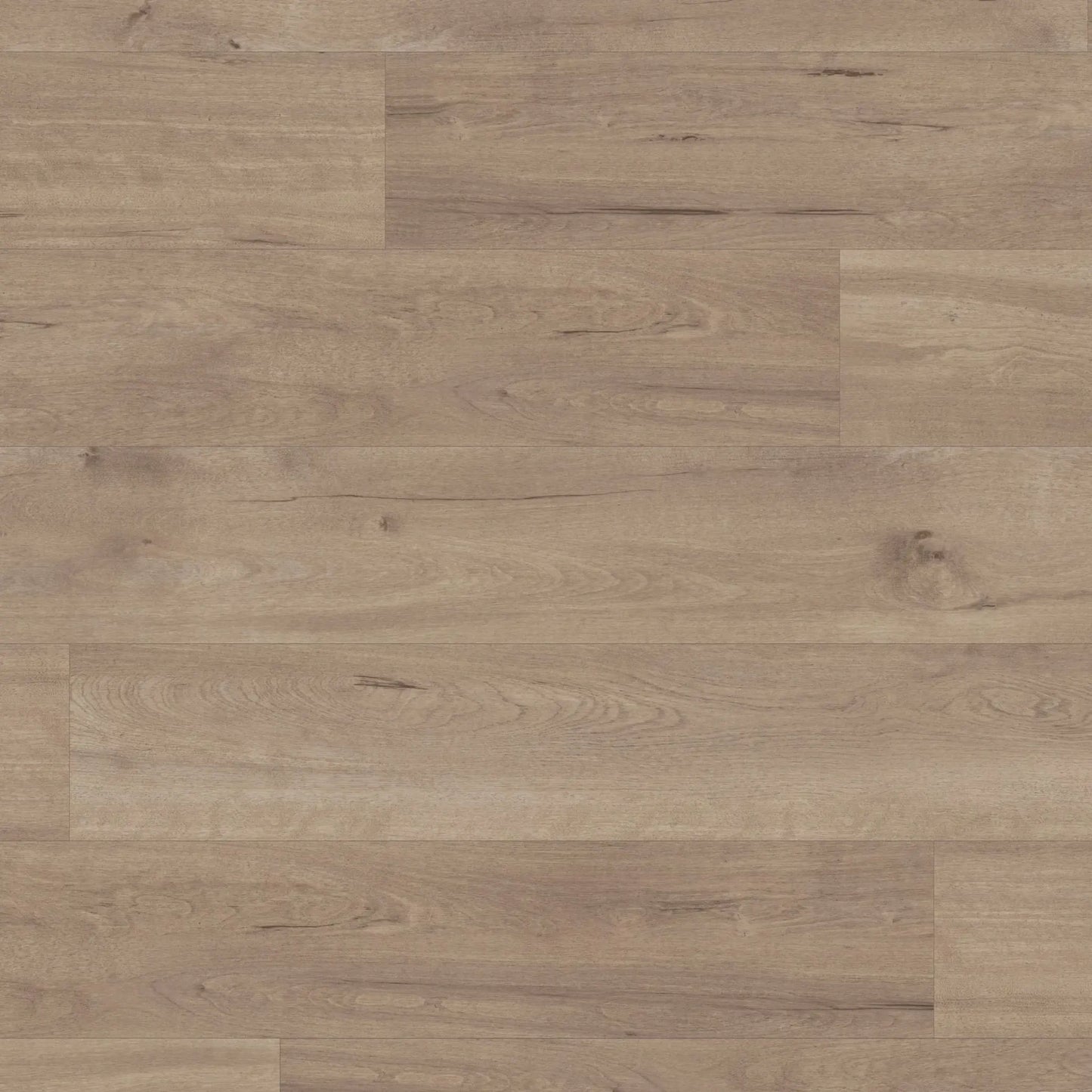 Karndean Van Gogh Frosted Birch VGW83T - Premier Carpets & Flooring Ltd