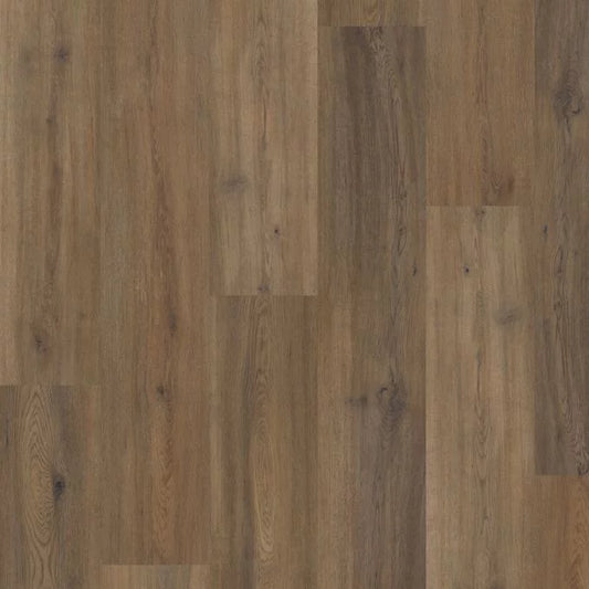 Polyflor Camaro Astoria Oak 2259 - Premier Carpets & Flooring Ltd