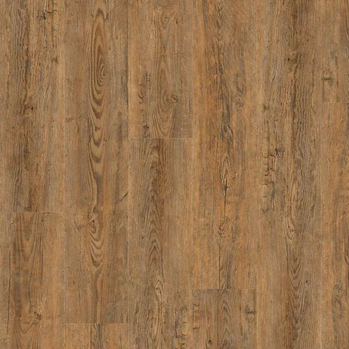 Polyflor Camaro Wild Amber Oak 2249 - Premier Carpets & Flooring Ltd
