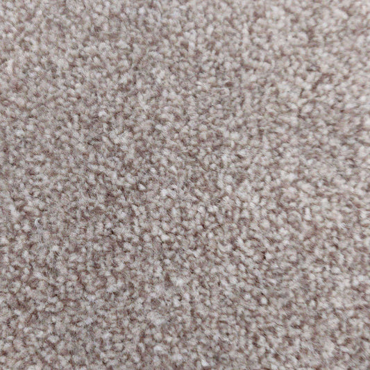 Emperor Caramel Cream Carpet Roll