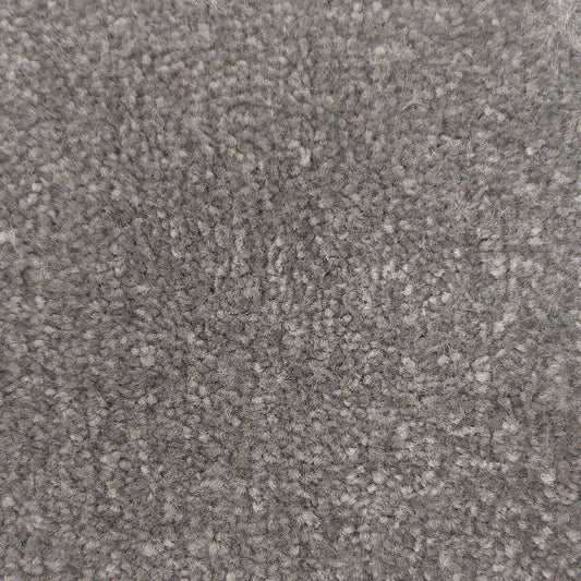 Emperor Dolphin Carpet Roll