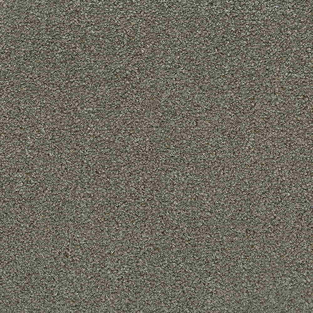 Revolution Carpet Roll