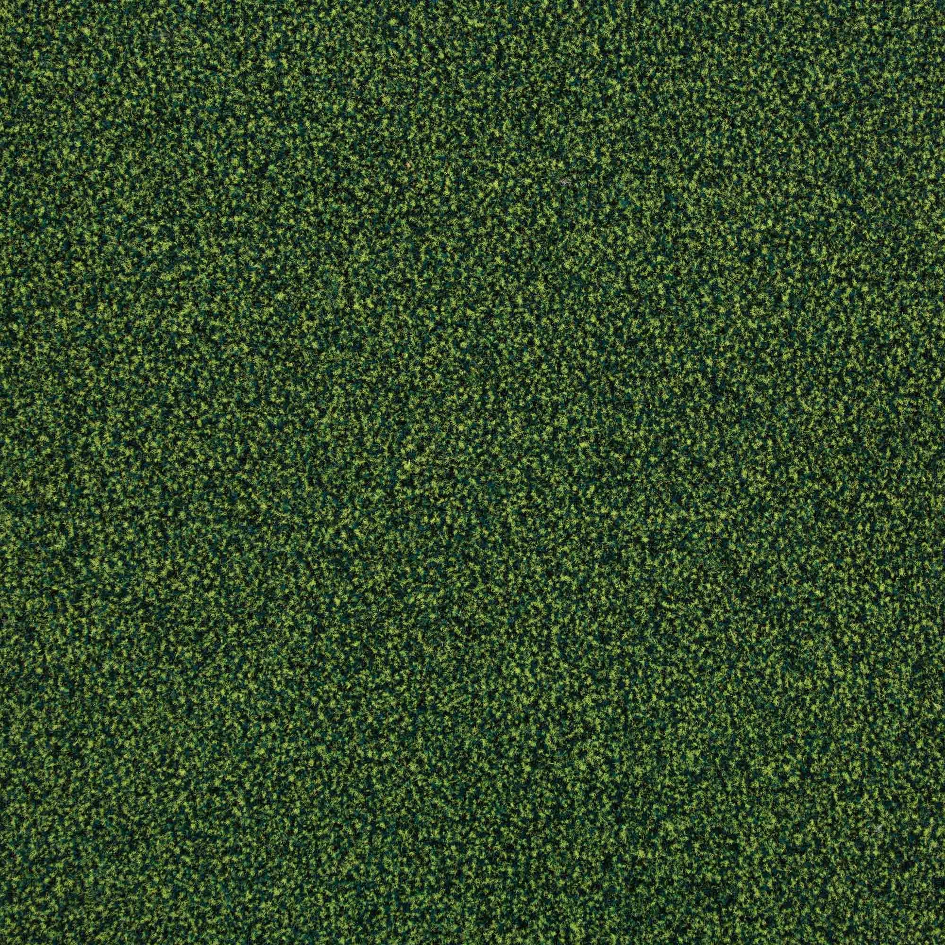 Burmatex Armour Cactus Thorn