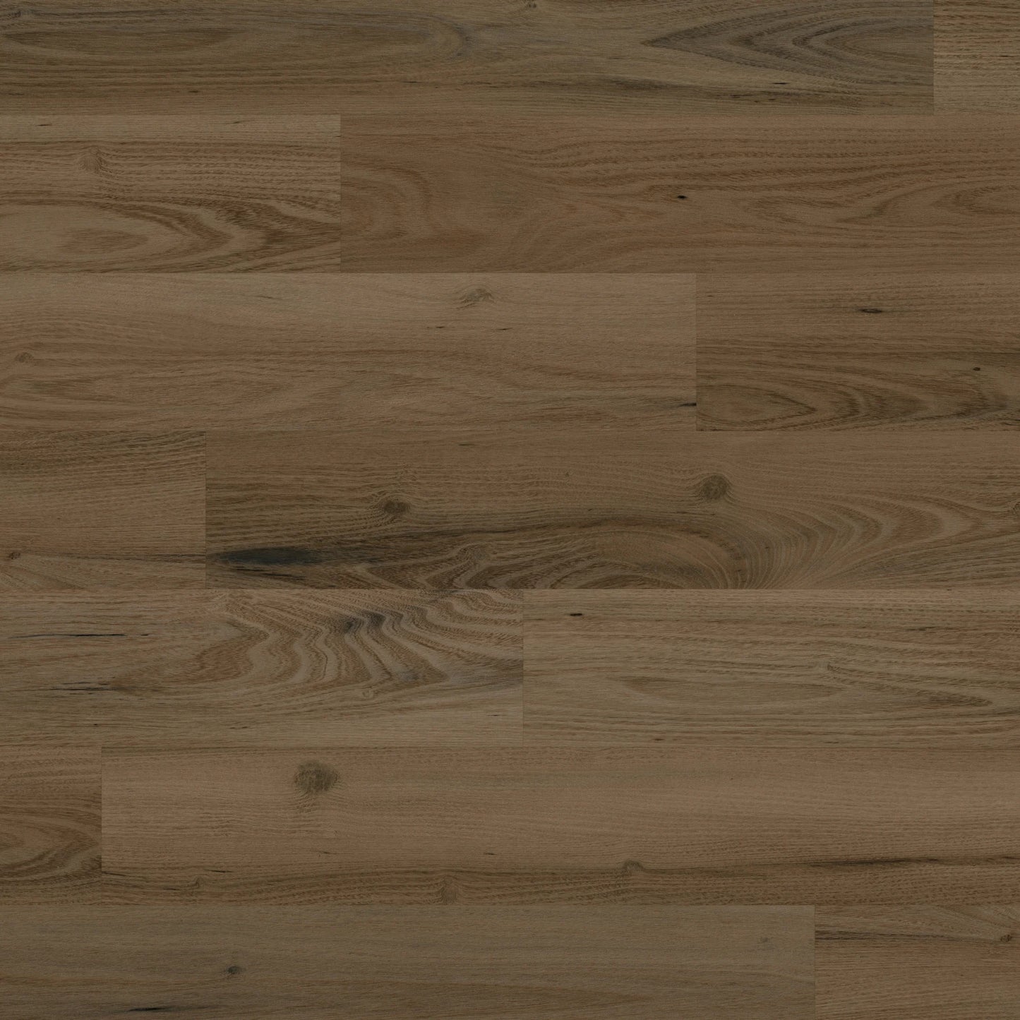 Karndean Knight Tile Duxbury Acacia KP161