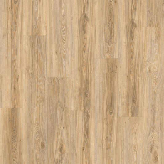 Moduleo Roots Blackjack Oak 22220