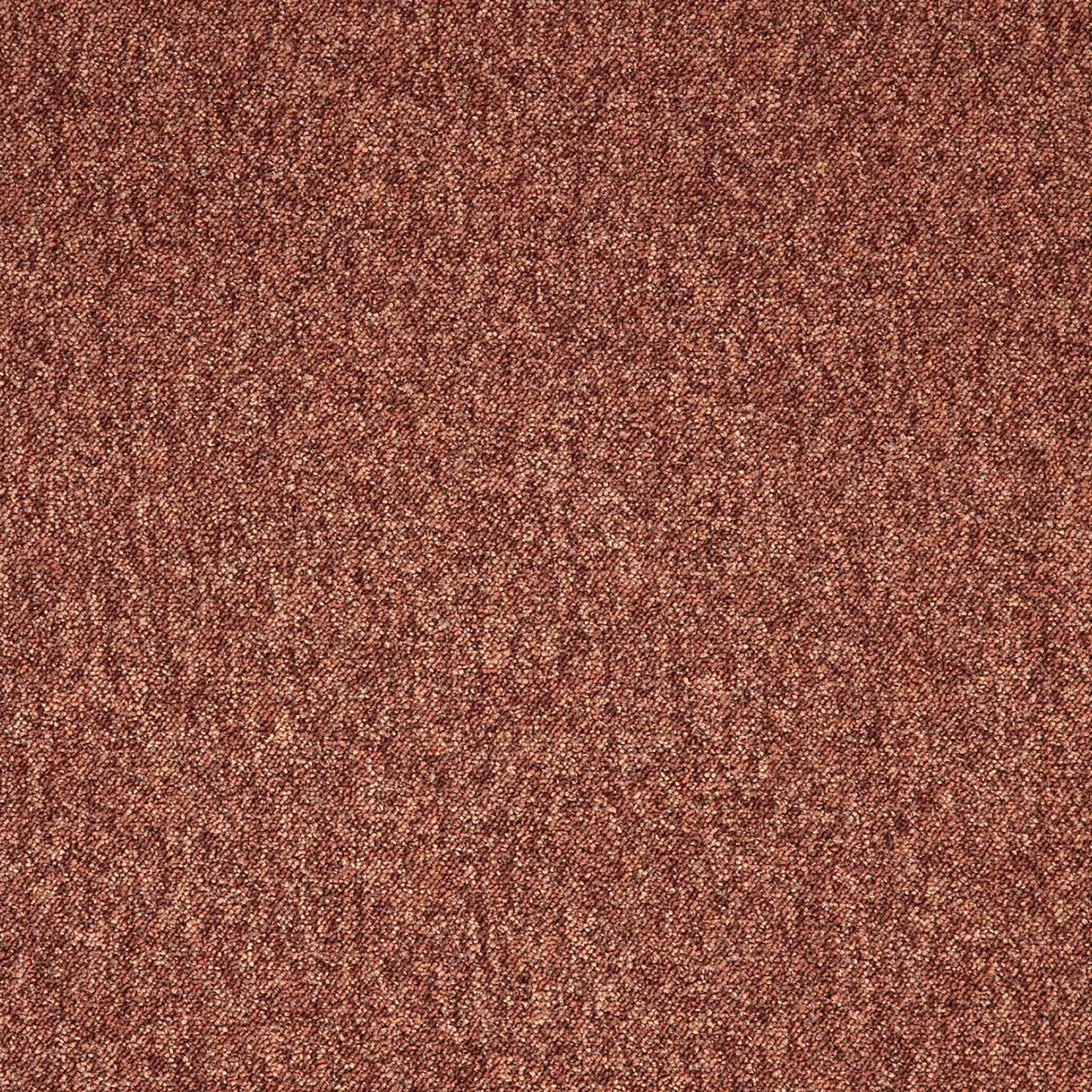 Paragon Toccarre Marrone 1656 Carpet Tile