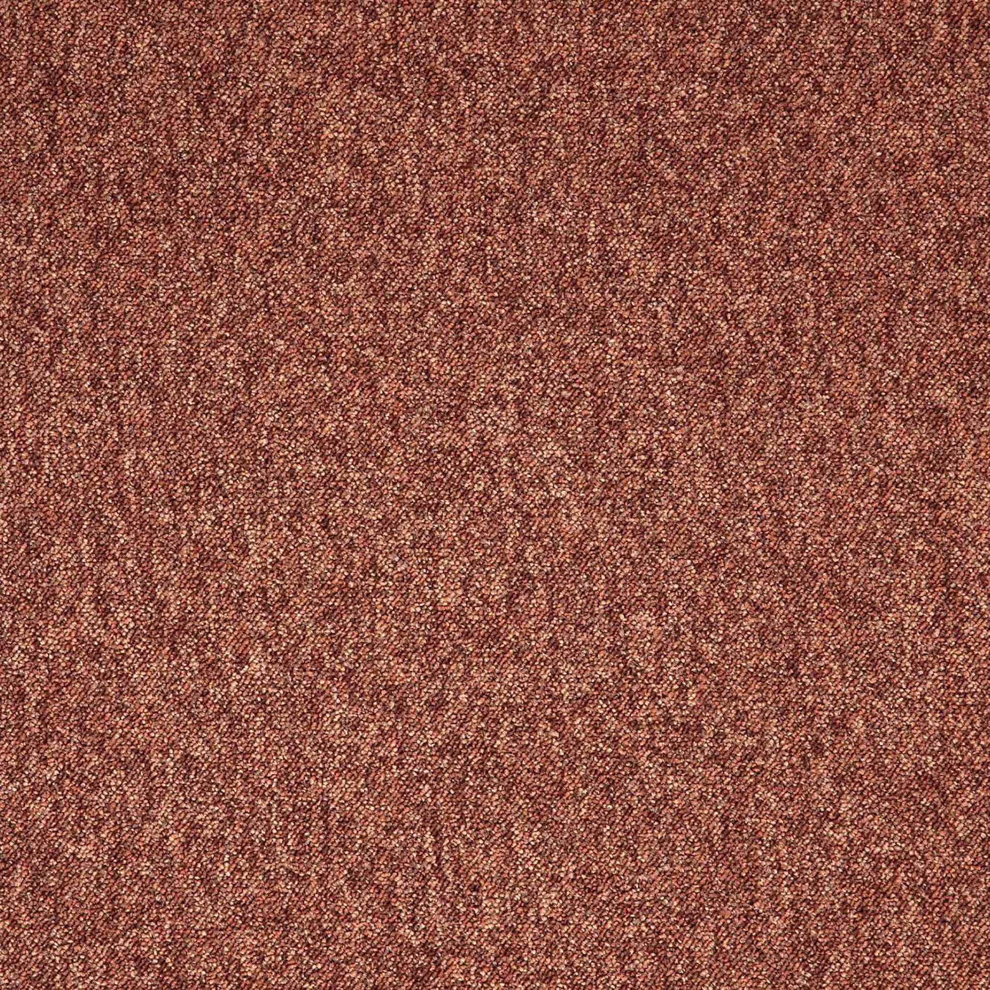 Paragon Toccarre Marrone 1656 Carpet Tile