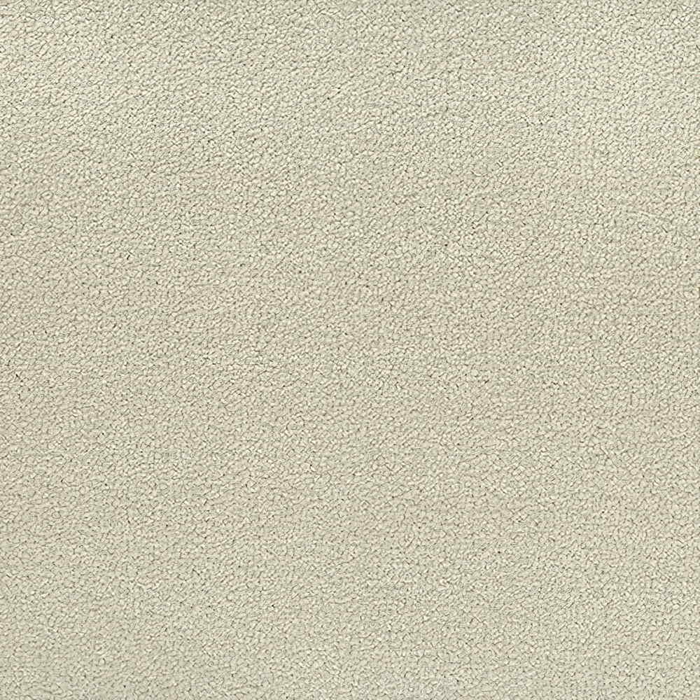 Revolution 69 Ivory Carpet Roll
