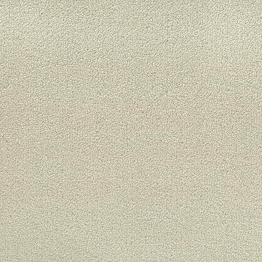 Revolution 69 Ivory Carpet Roll