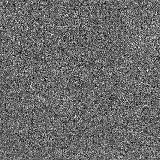 Revolution 195 Taupe Carpet Roll