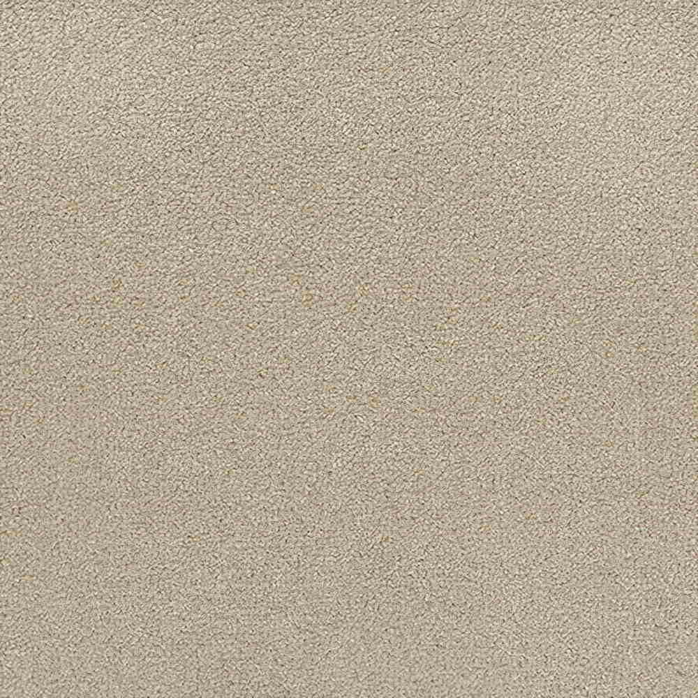 Revolution 70 Warm Beige Carpet Roll