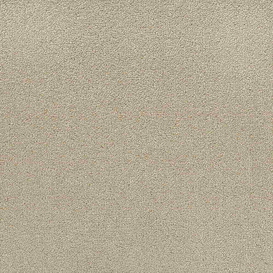 Revolution 70 Warm Beige Carpet Roll