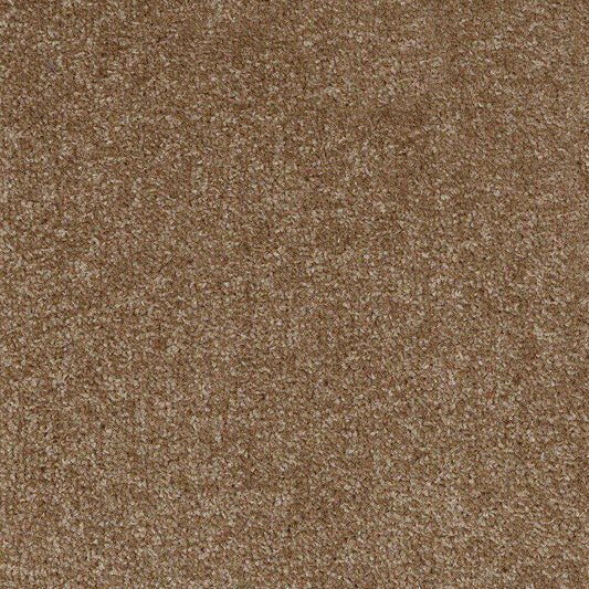Dublin Twist Taupe 41 Carpet Roll