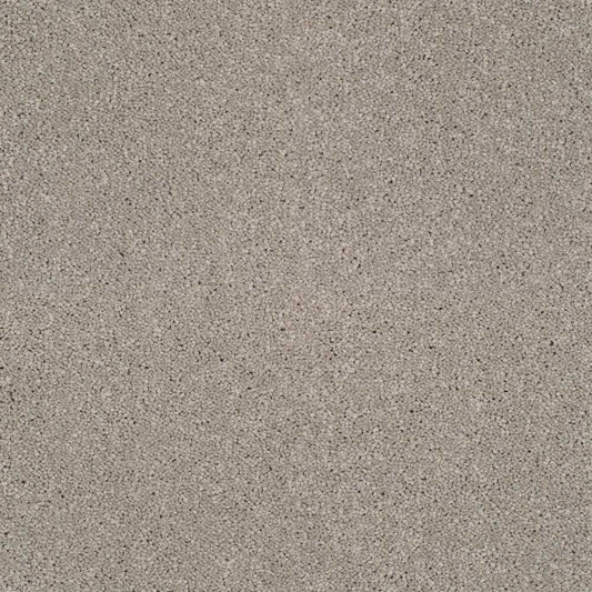 Star Twist Supreme Paloma 862 Carpet Roll