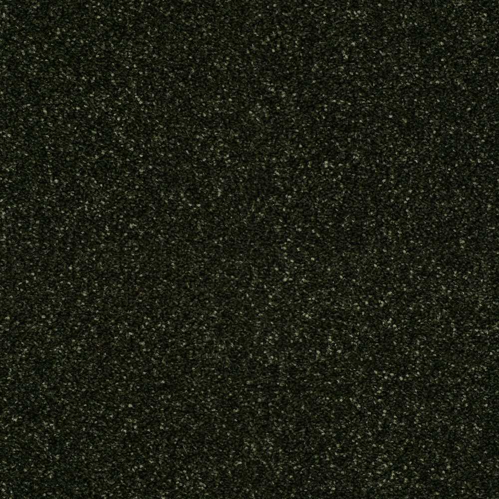 Star Twist Supreme Shamrock 591 Carpet Roll