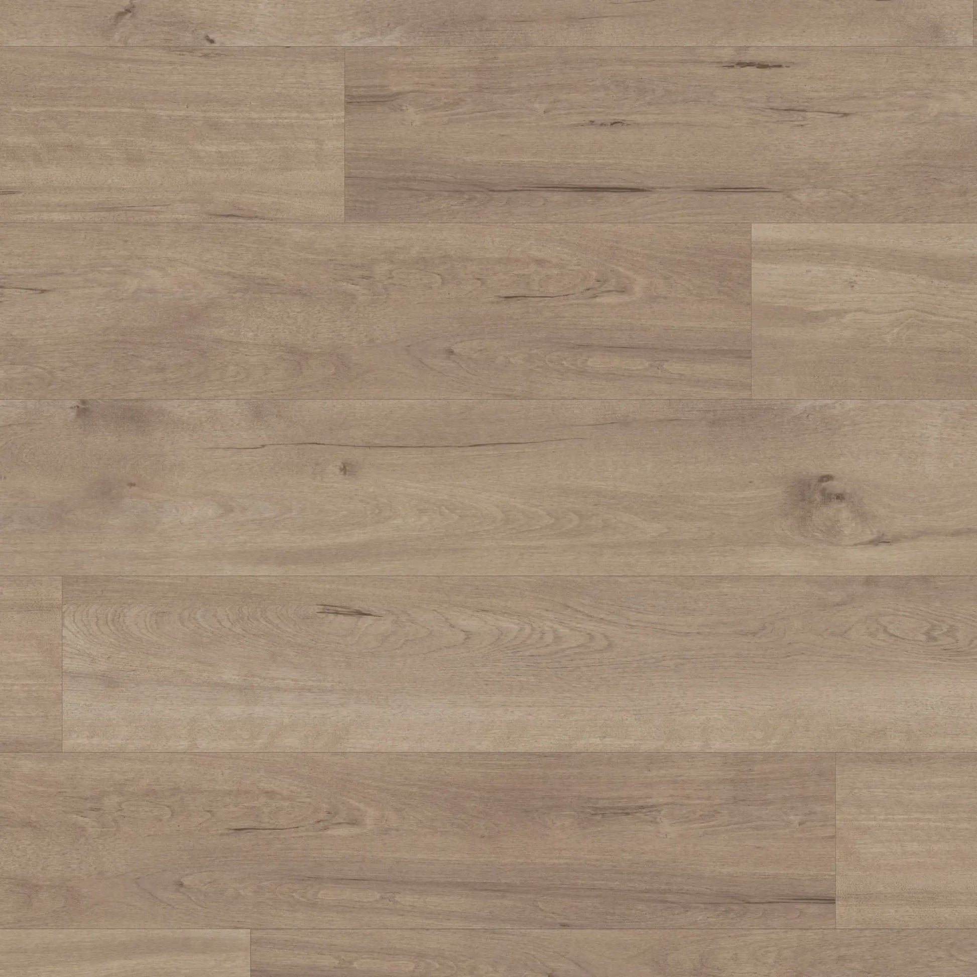 Karndean Van Gogh Frosted Birch VGW83T - Premier Carpets & Flooring Ltd