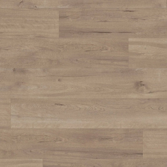 Karndean Van Gogh Frosted Birch VGW83T - Premier Carpets & Flooring Ltd