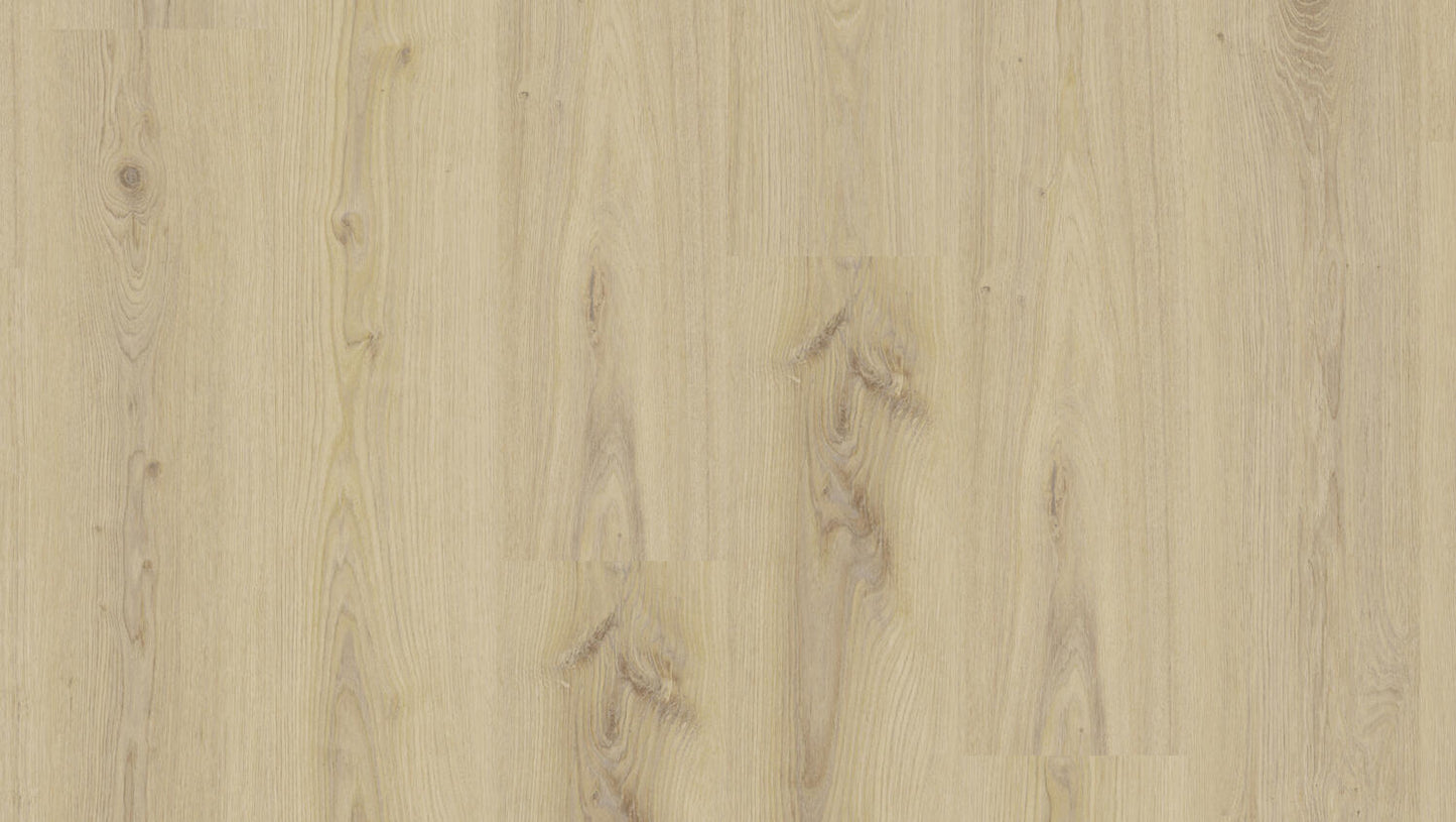 Tarkett Essence 55 Primary Oak Beige