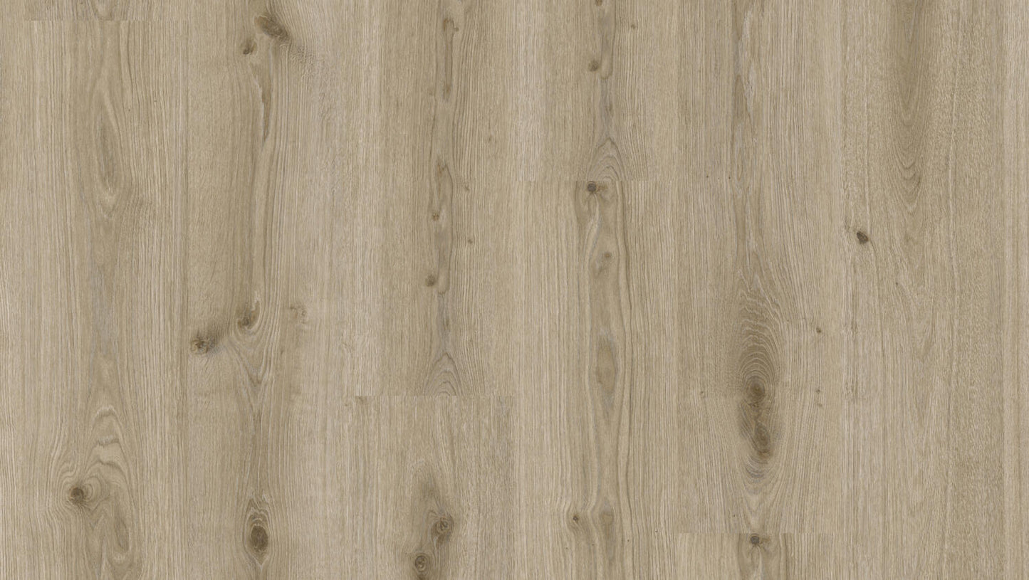 Tarkett Essence 55 Primary Oak Light Grey