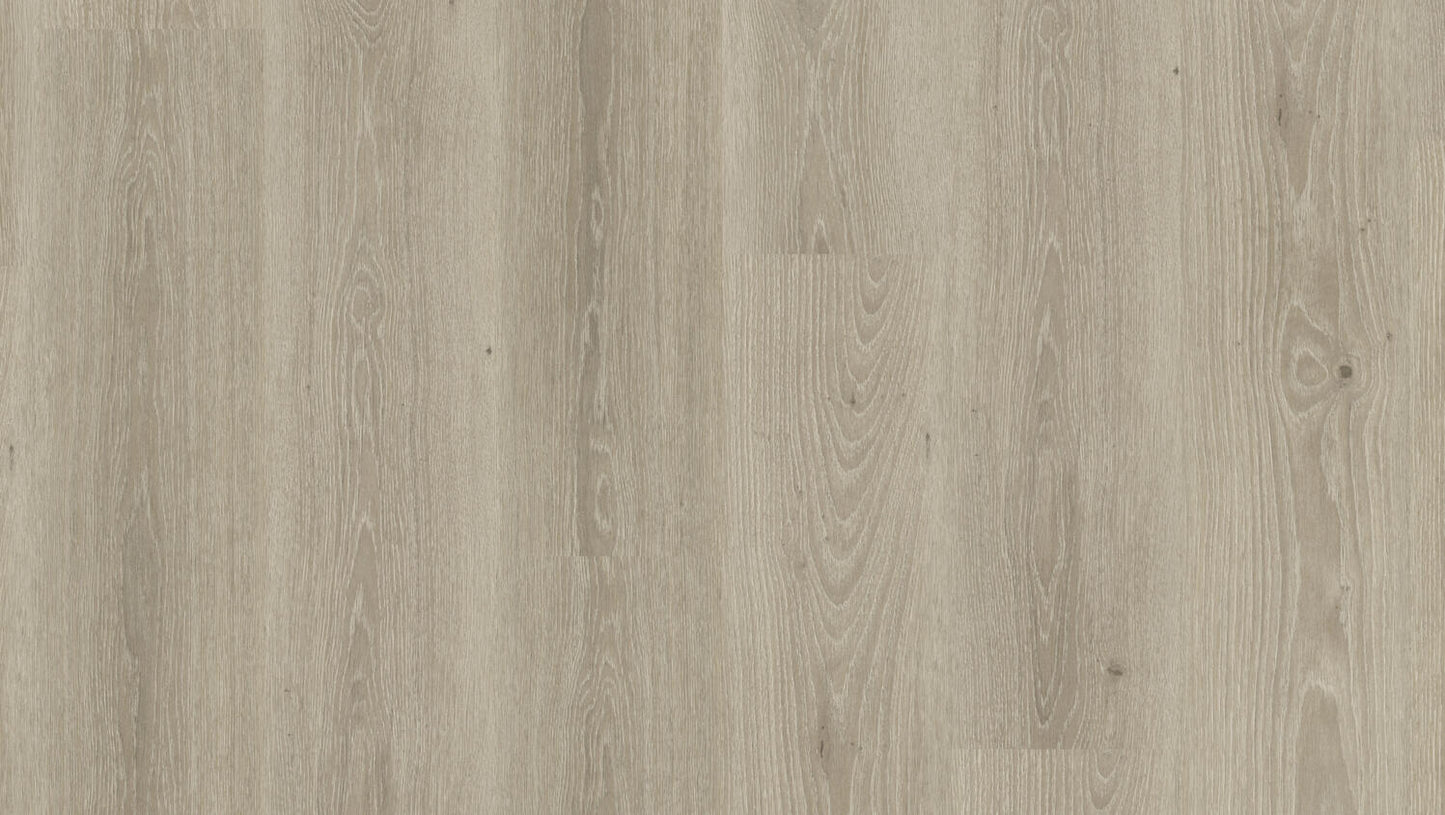 Tarkett Essence 55 Tribe Oak Grey