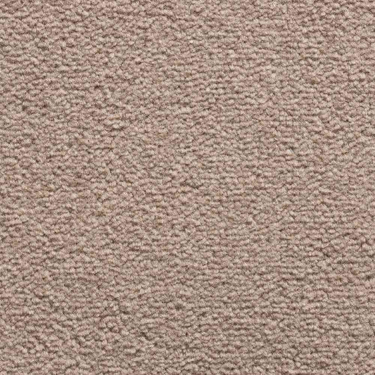 Revolution 191 Latte Carpet Roll