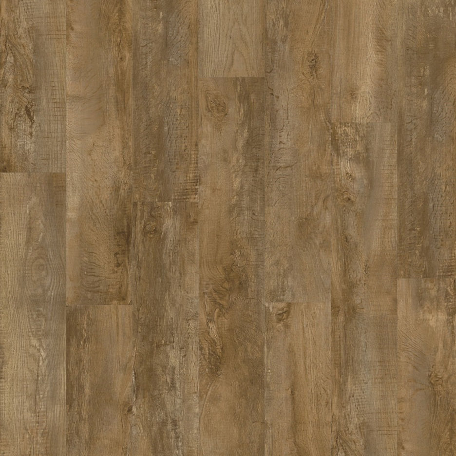 Moduleo Roots Country Oak 24842